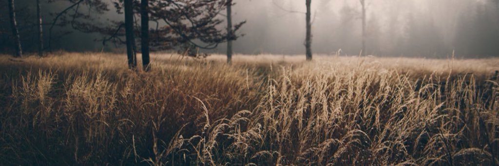 cmmetria's profile banner image