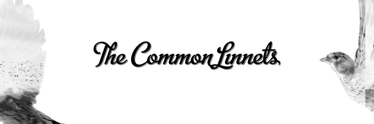 linnets_INTL's profile banner image
