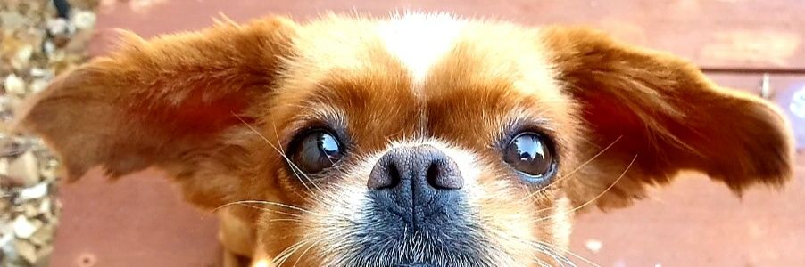 JuliaEmBee's profile banner image