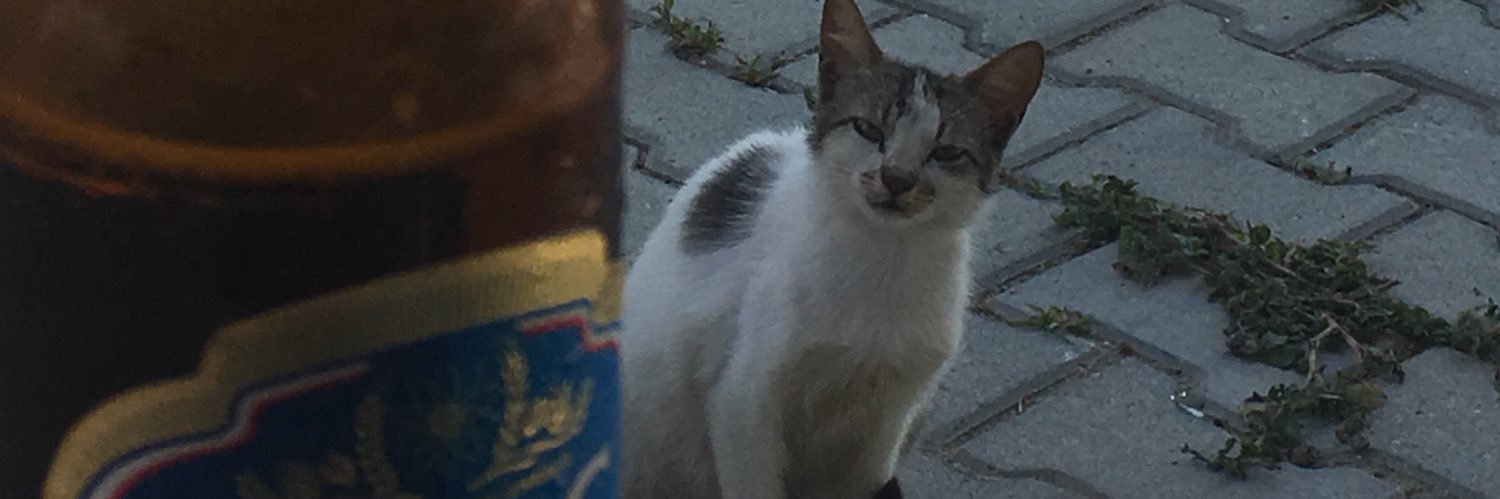 hamamicilli's profile banner image