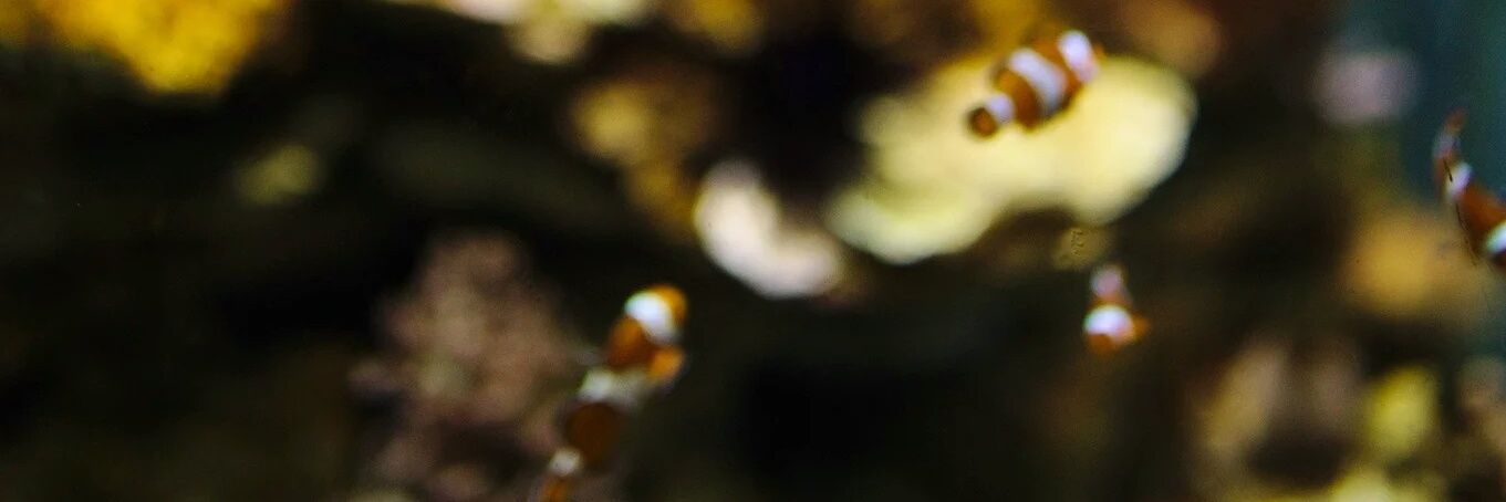 L___Dee's profile banner image