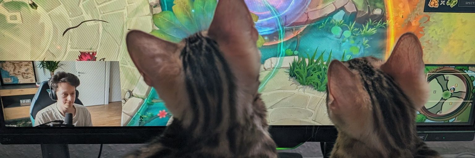 MaikPyttel's profile banner image
