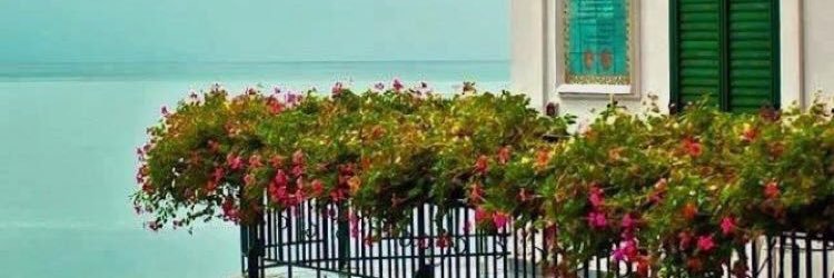 wafaali111's profile banner image