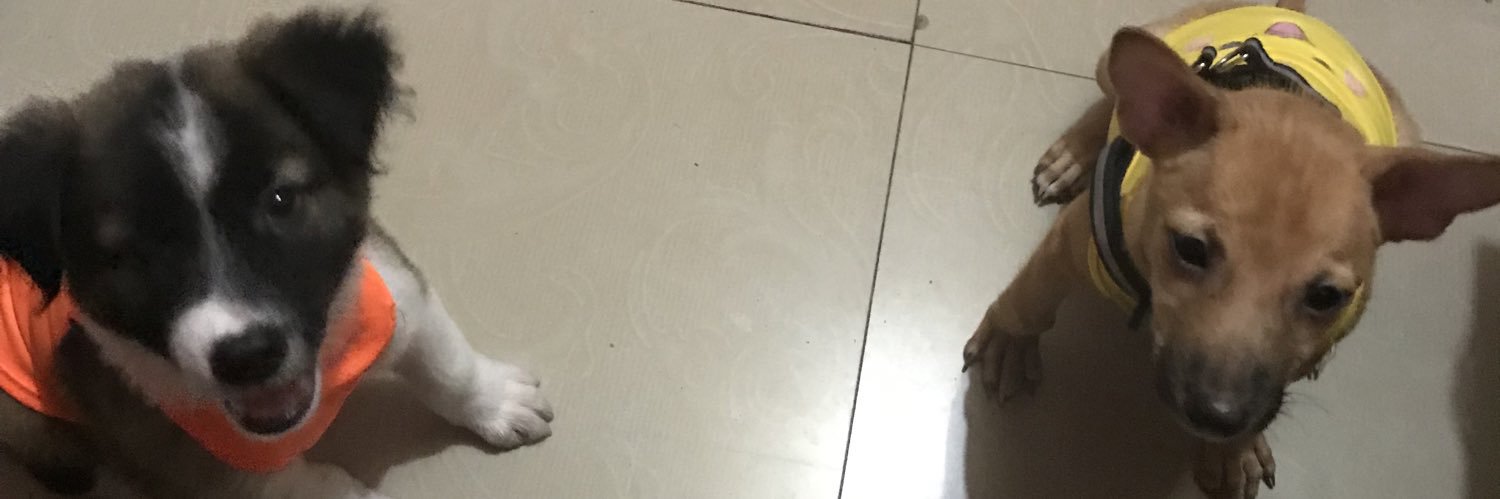 gelaparass's profile banner image