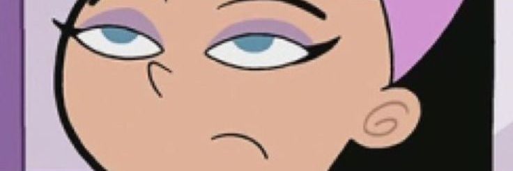 sasha banner