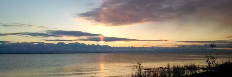 klingererin's profile banner image