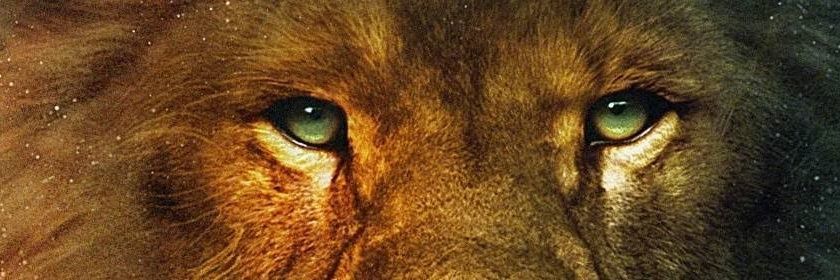 Avilachele's profile banner image