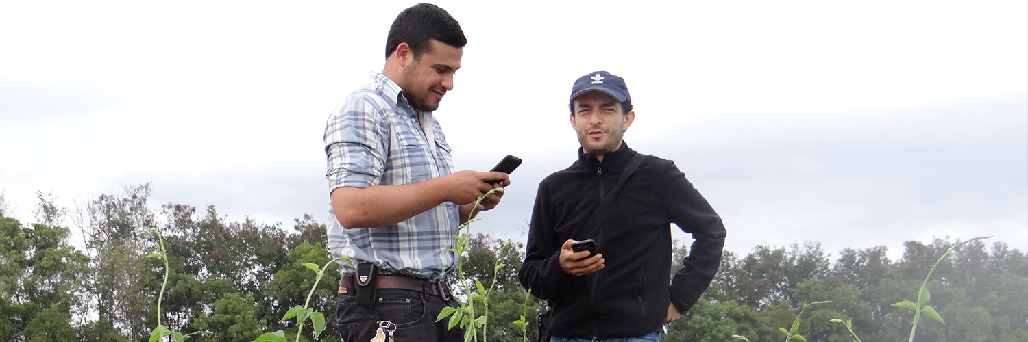 Daniel Jiménez R, PhD. banner