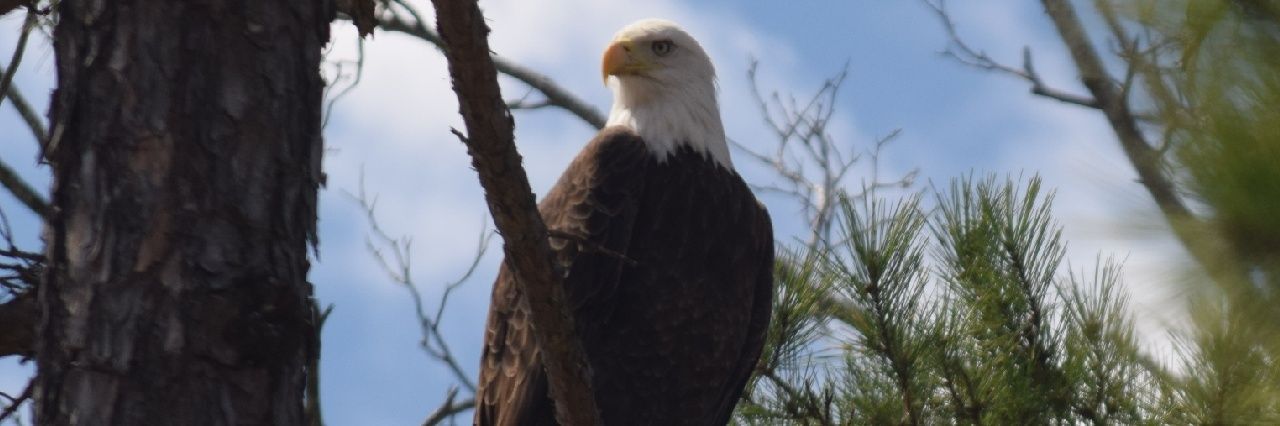 MMenley71's profile banner image