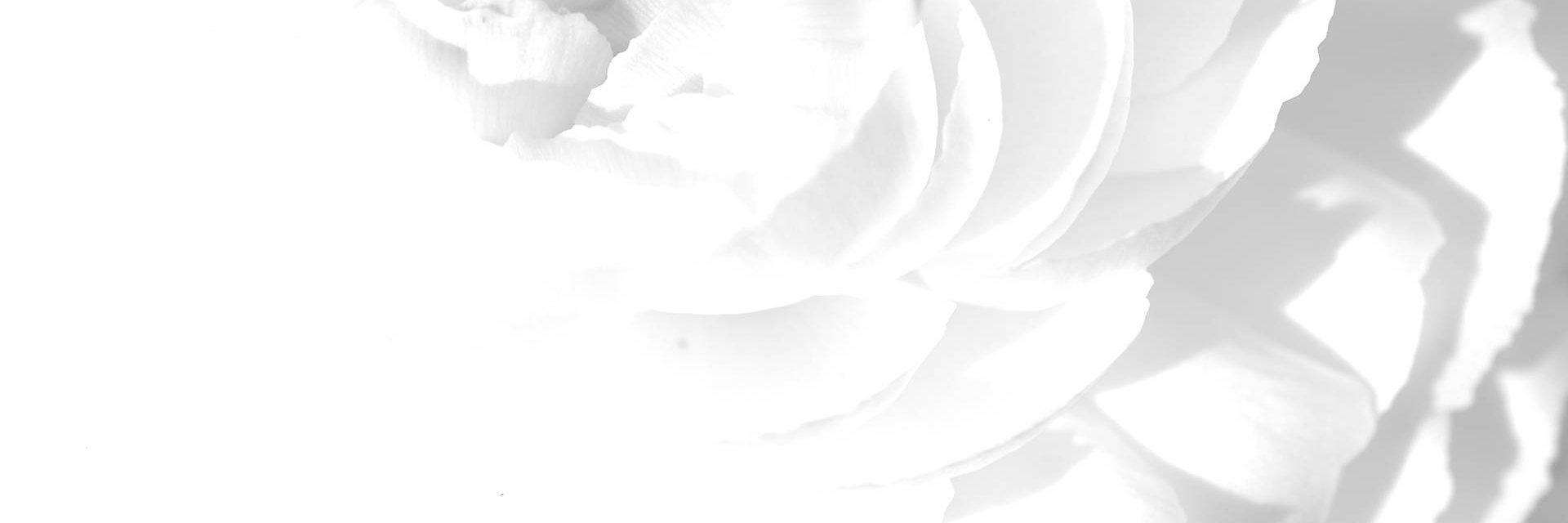 yanko_jan's profile banner image