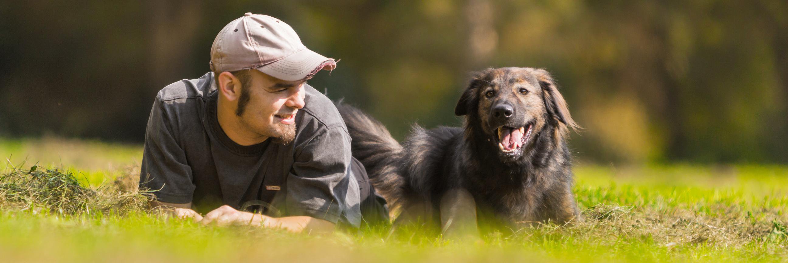 DogsofVictoria's profile banner image