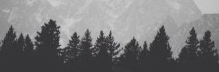 AlecSpurlock's profile banner image