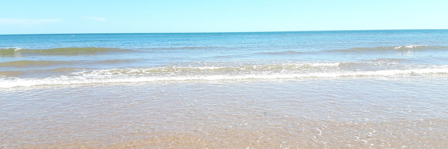 Jessica Sutton 💙 banner