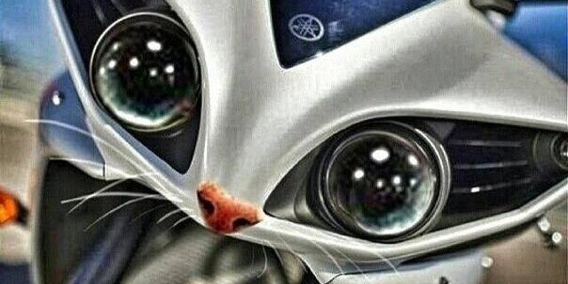 totofdo's profile banner image