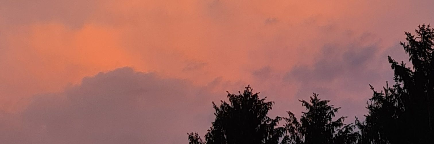 bearizzi97's profile banner image
