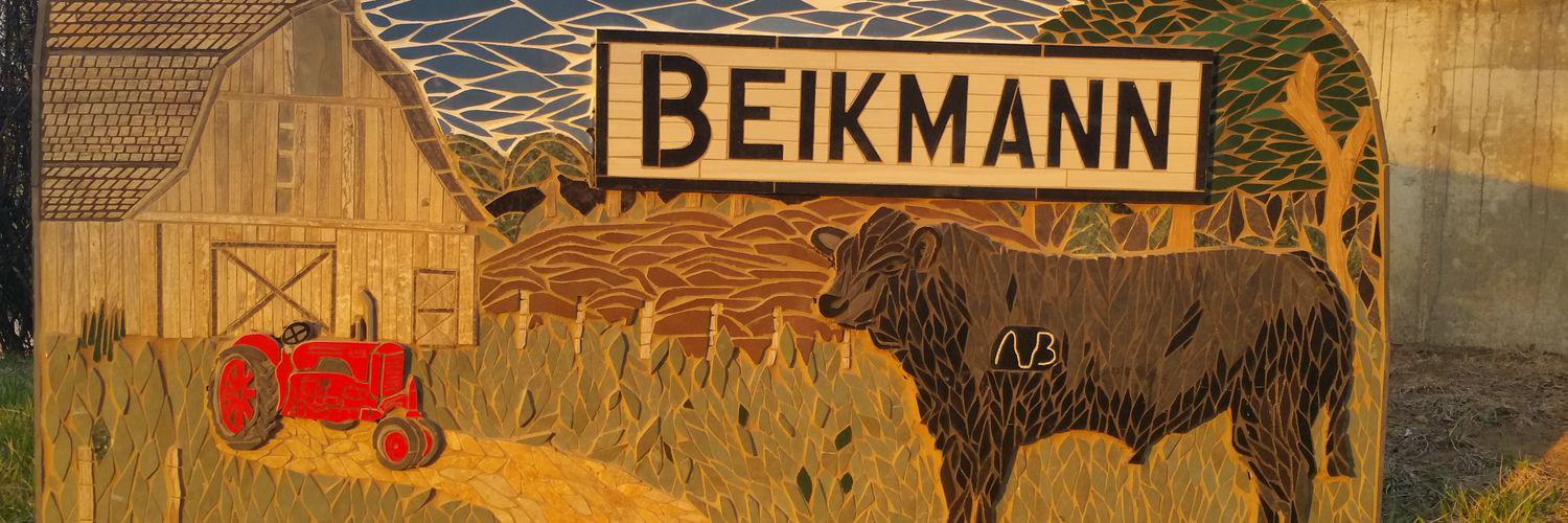 Bikemann07's profile banner image
