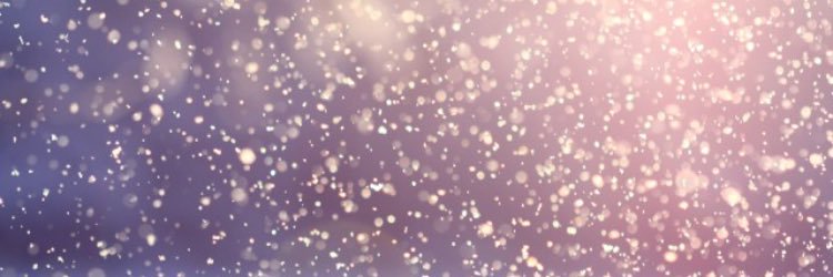 _meganmcrae's profile banner image