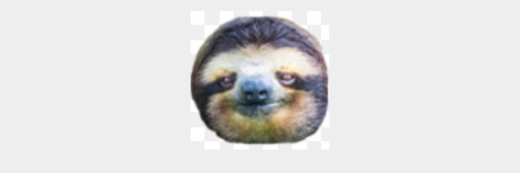 BlakeP20's profile banner image
