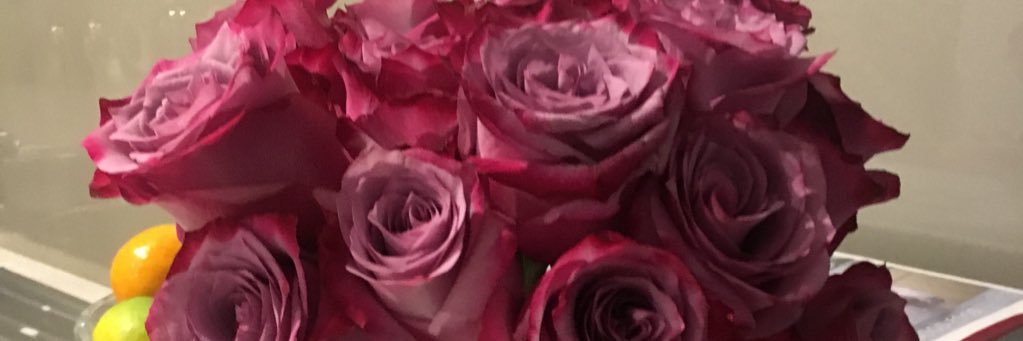 stillerhappy's profile banner image