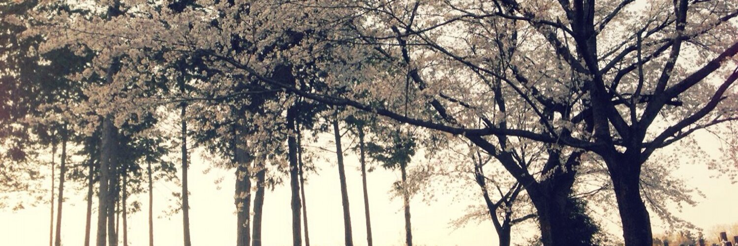 Muggi_tea's profile banner image