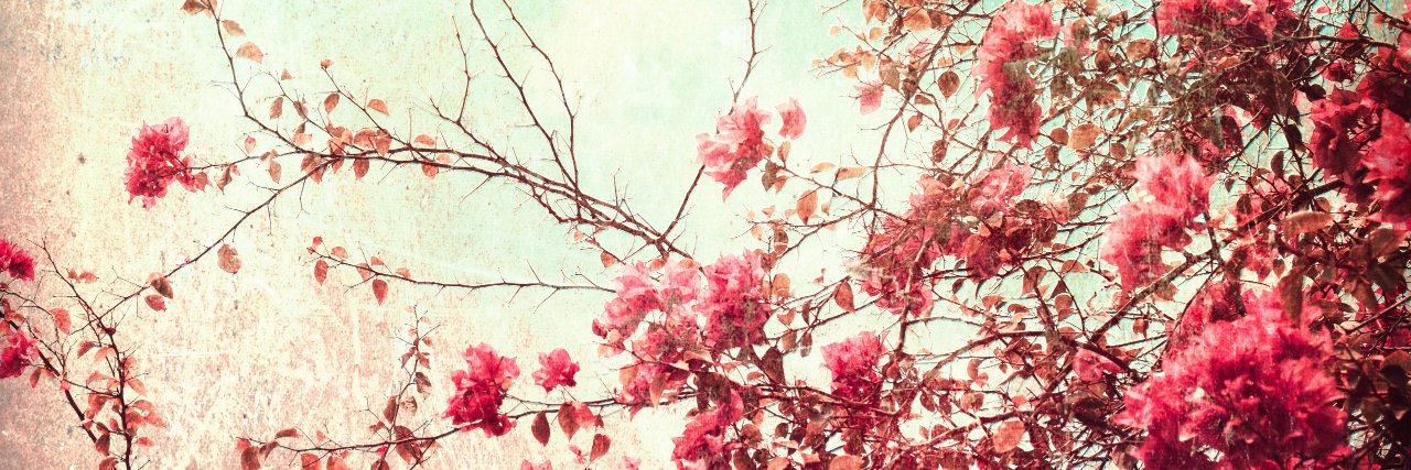 Monik_Osorio's profile banner image