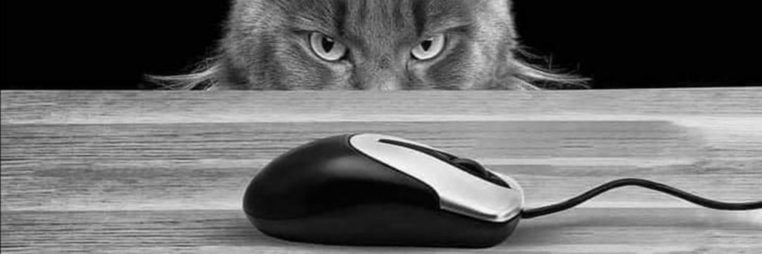 NÏRVĄNĄ🪷✨ banner