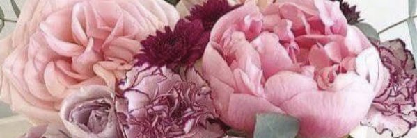 edith__garcia's profile banner image