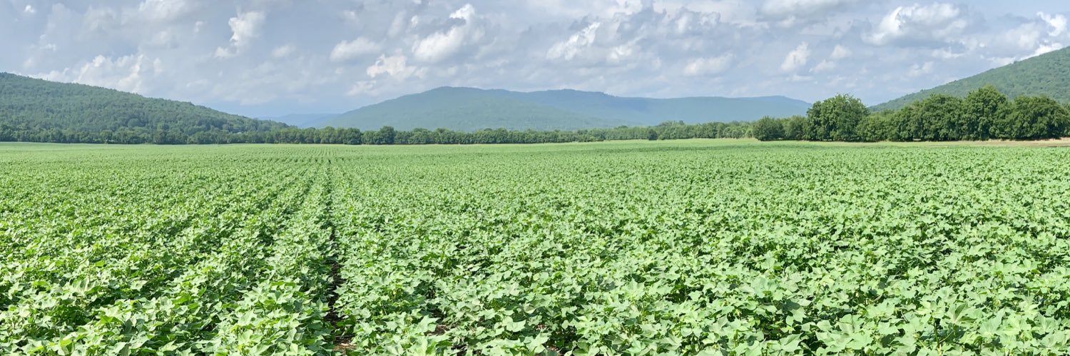 David Russell banner