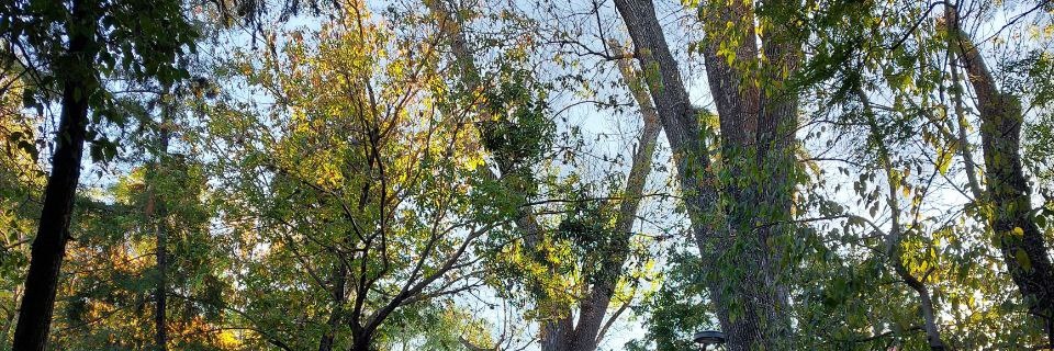 thalyB12's profile banner image