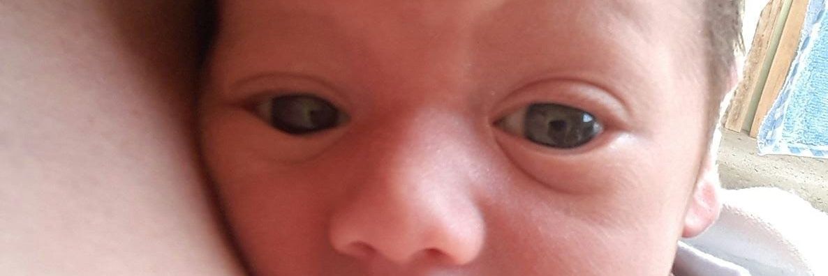 ZacharyRodriguz's profile banner image