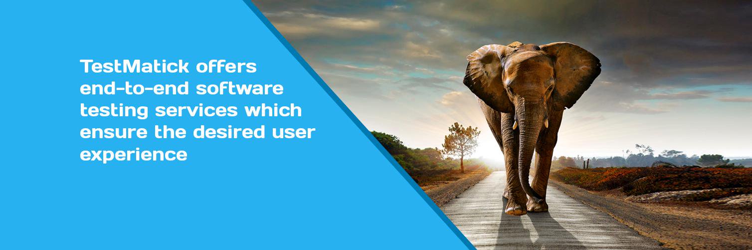 TestMatick banner