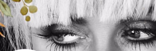 nocureforlove's profile banner image