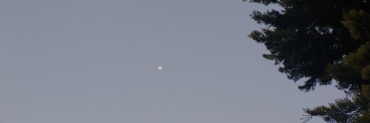 mili_keh's profile banner image