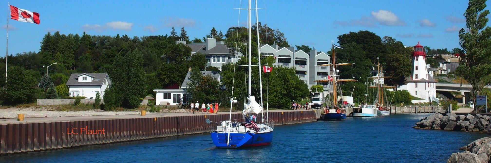 LC Plaunt (she, her) banner