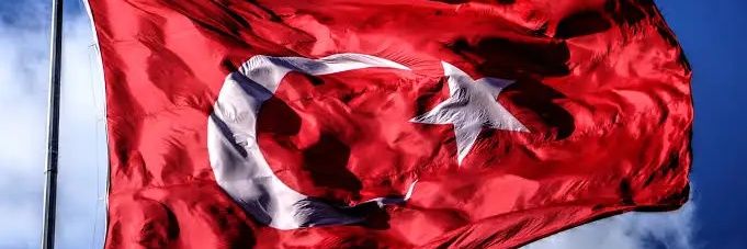 Zafer 🦁 ⭐1⭐9⭐0⭐5⭐ banner