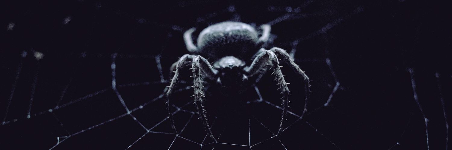 ArachnidaT's profile banner image