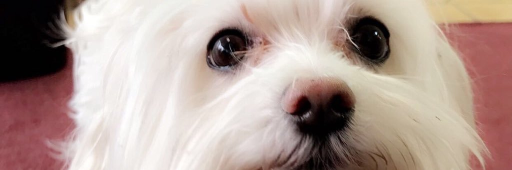 UK2K_REES's profile banner image