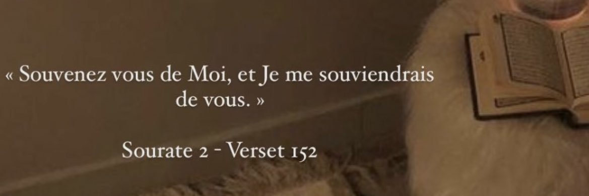 INidbouhou's profile banner image