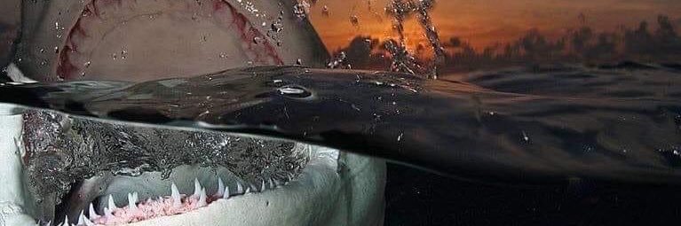 kaleyomomma's profile banner image