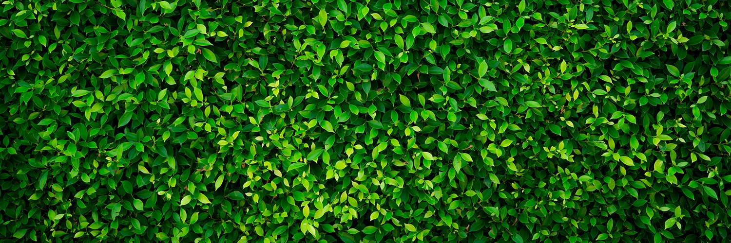 Private_Tom_7's profile banner image