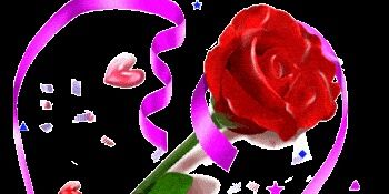 sonukumar7687's profile banner image