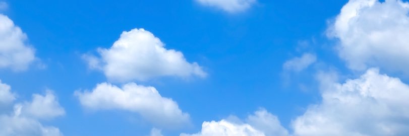 toranohanashi's profile banner image