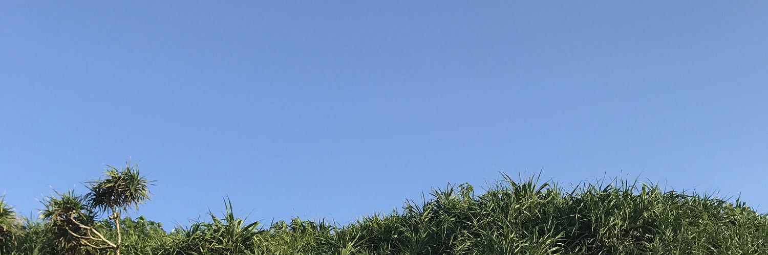 hasitaiga2's profile banner image