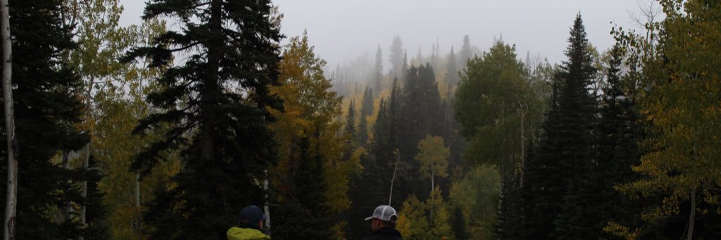 Cacidy's profile banner image