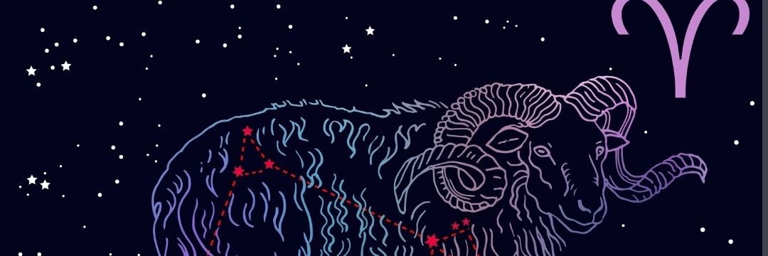 salsdadfh's profile banner image