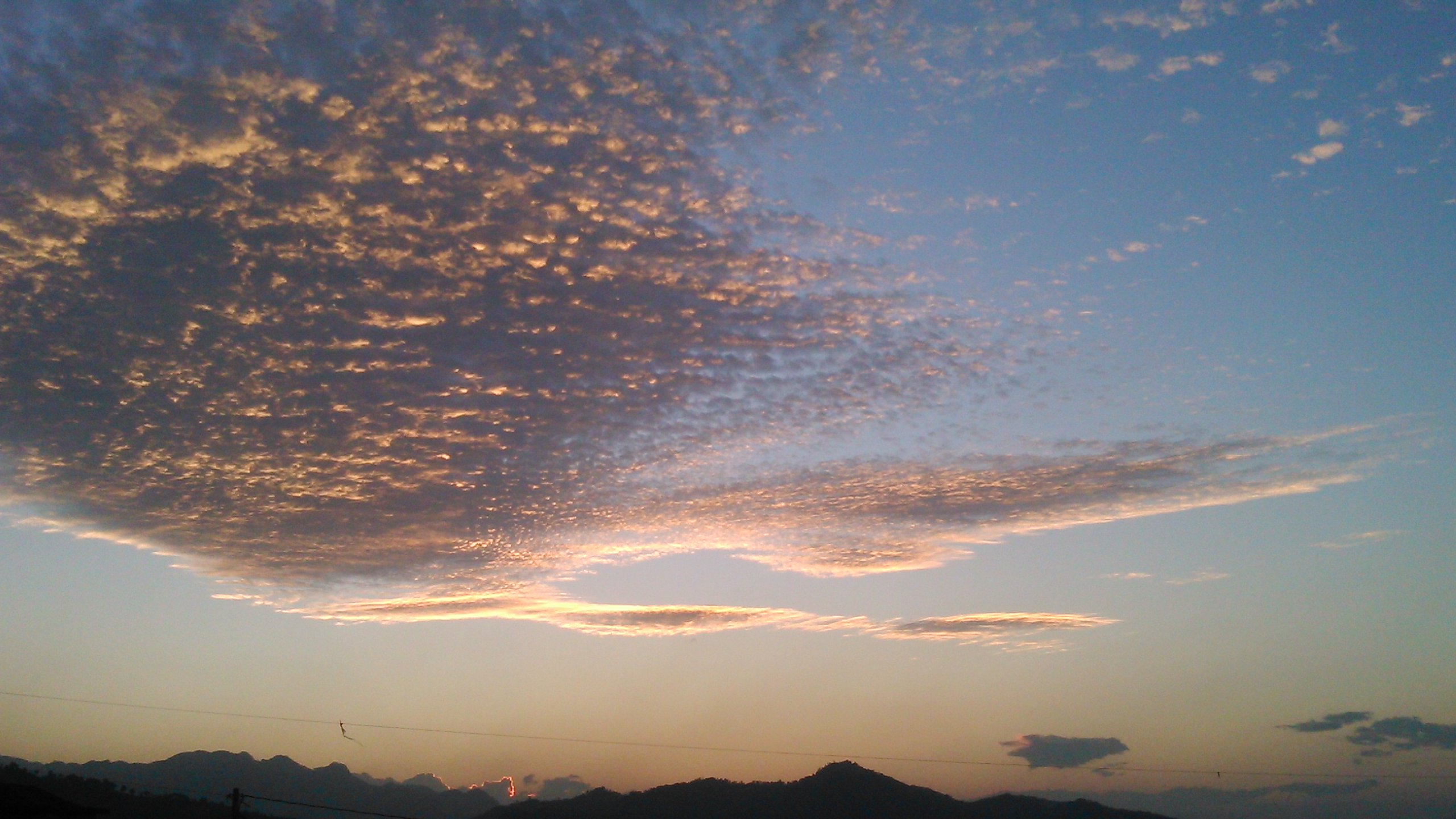 CARADEPAPASITO's profile banner image