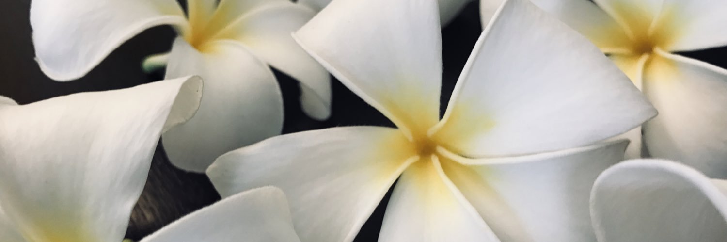 XziLj's profile banner image