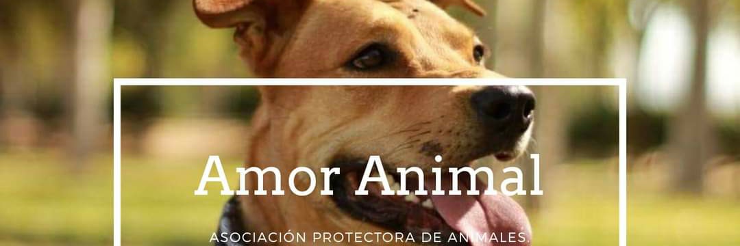 amoranimalugena's profile banner image