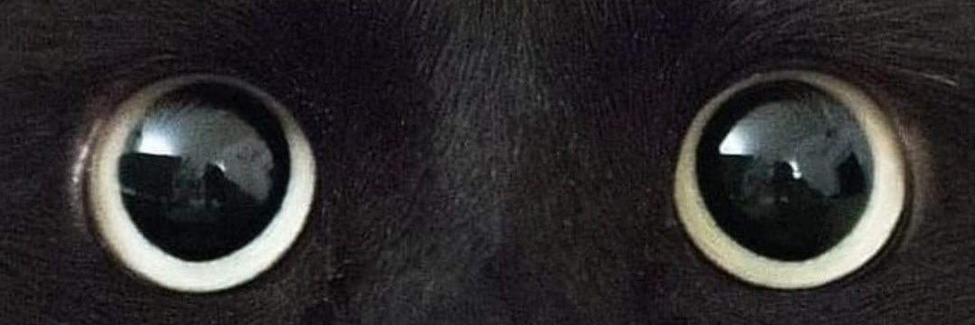 KrnNanette's profile banner image