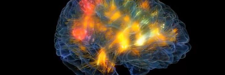 NeuroSparx's profile banner image